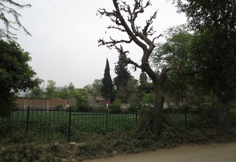 Сельская местность на севере Пенджаба